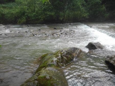 土砂降りの雨に逃げ帰る ～九頭竜川水系～
